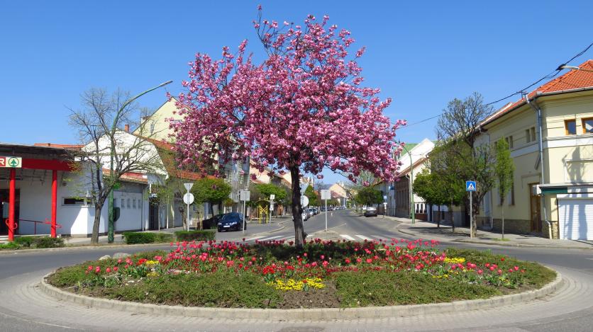 Gyöngyös