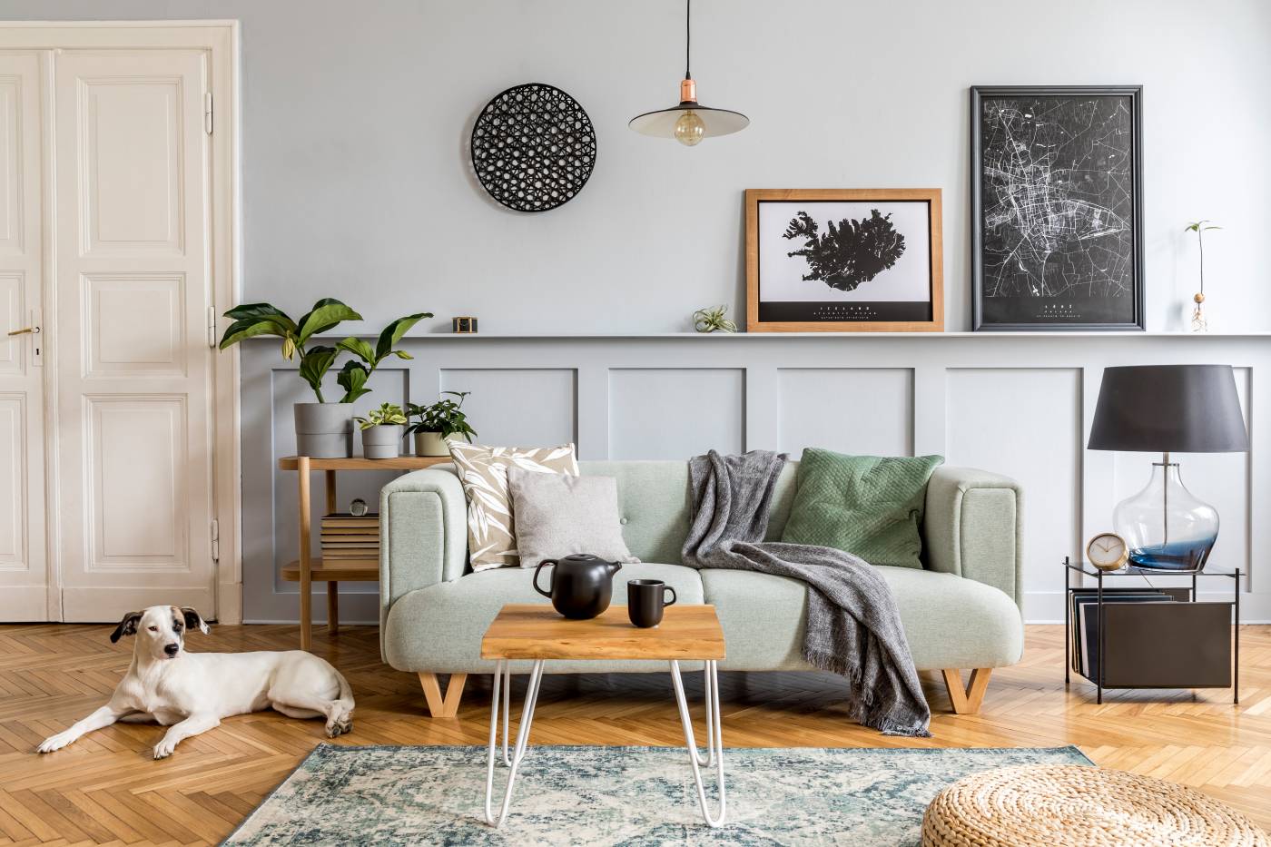 saját