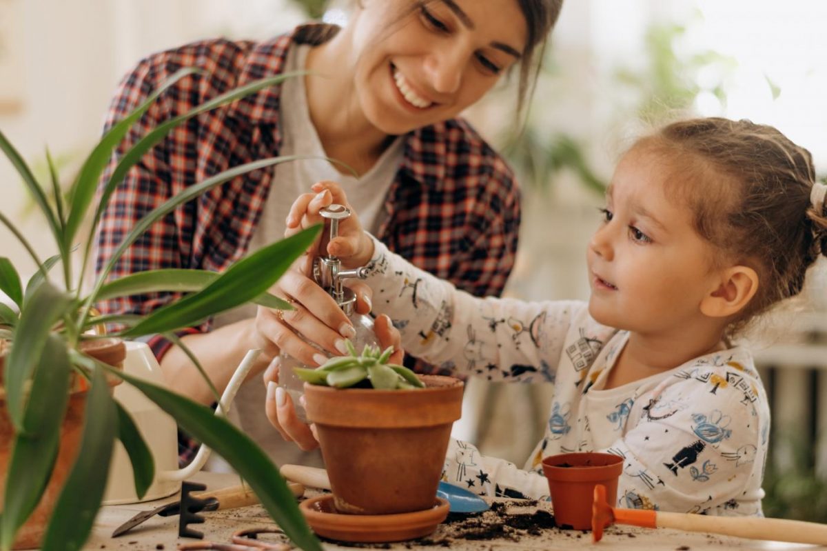 szobanövények gondozása locsolás