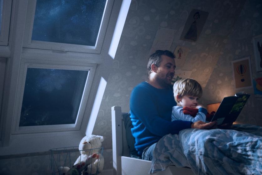 VELUX