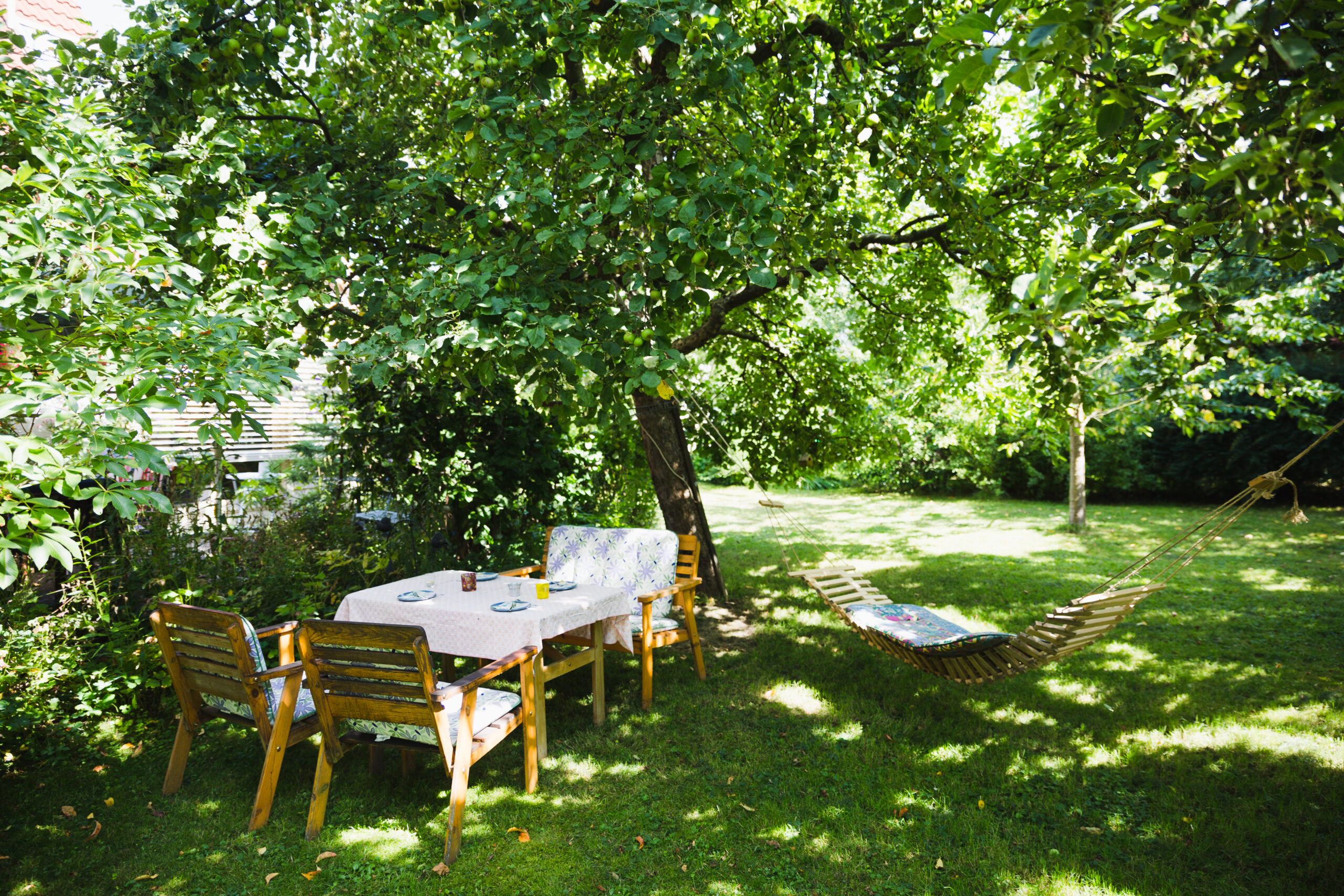 árnyék, napvitorla, fa