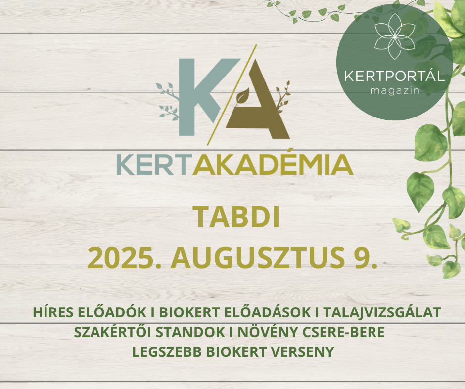 KertAkadémia