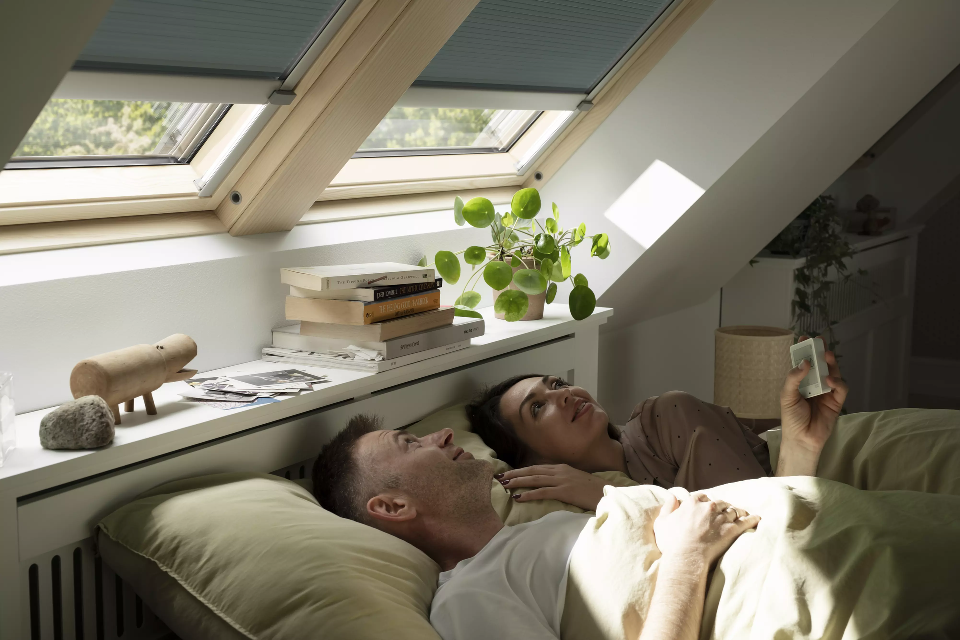 velux, ablak